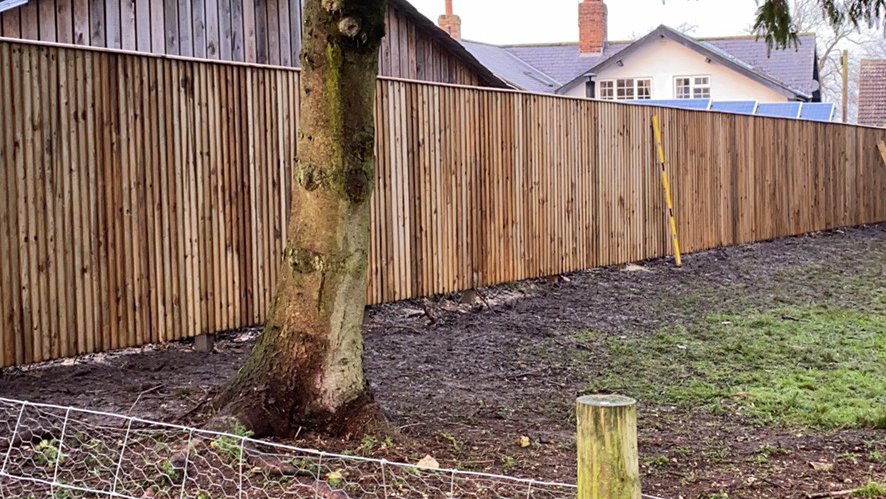 A new closeboard fence running along a garden boundary past a mature tree